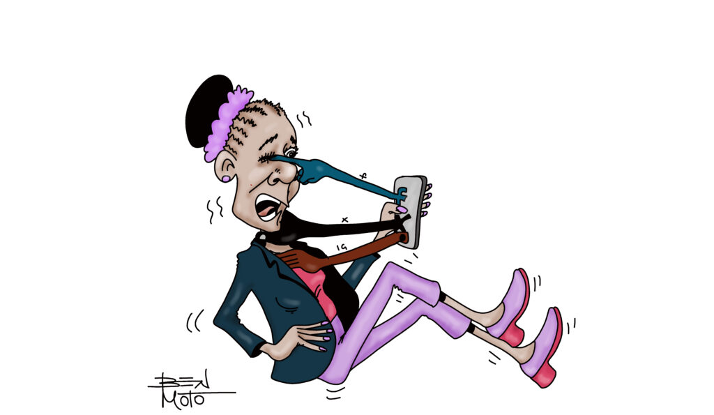 Misogyny, cyberbullying and toxicity in Zim politics