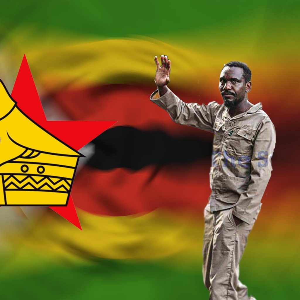 It Is Time to Stand Up and Build a New Zimbabwe